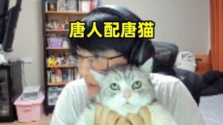 爱猫TV，瓶子:"这猫看着真唐啊，像若智一样，这可真是唐人配唐猫啊"