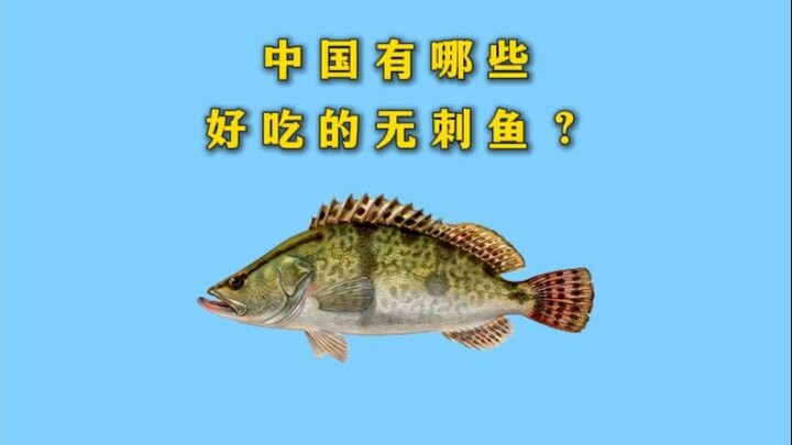 Trung Quốc có những loại cá không xương nào ngon?