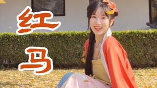 娇羞翻跳小D的【红马】【生贺作品】