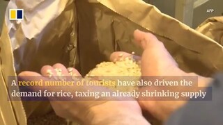 Japan to release emergency rice stocks as prices soar