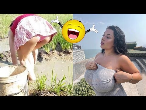 Random Funny Videos |Try Not To Laugh Compilation | Cute People And Animals Doing Funny Things #P3