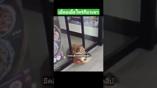 เมื่อยเมื่อไหร่ก็แวะมา