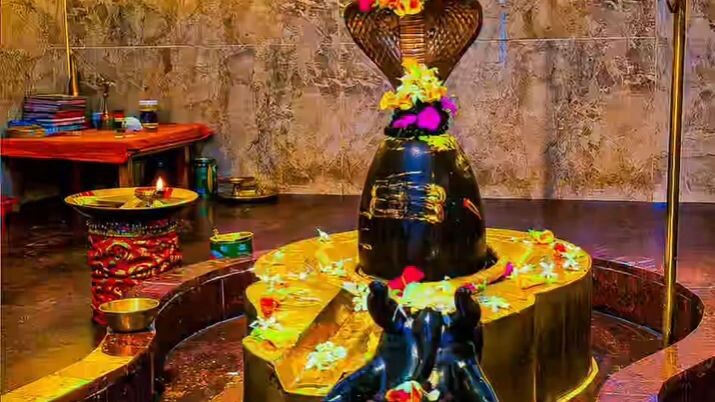 ~*𝀈̏⃟♥️🔱ॐ નમ: શિવાય𝀈̏⃟🍃❤️*~