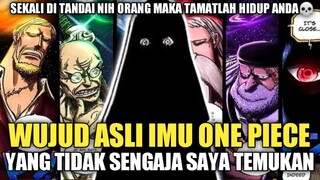 WUJUD ASLI IMU ONE PIECE YANG TIDAK SENGAJA SAYA TEMUKAN‼️😱