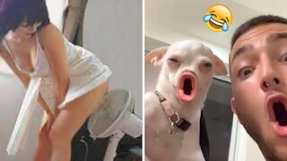 NIKI CHIHUAHUA ใหม่ล่าสุด