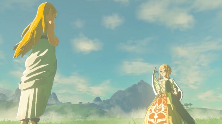 Putri Zelda, Anda salah orang