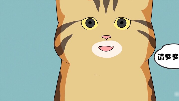 [The Cat is Coming] Stray cats went to cat cafes twice to beg for shelter. The first time they were 