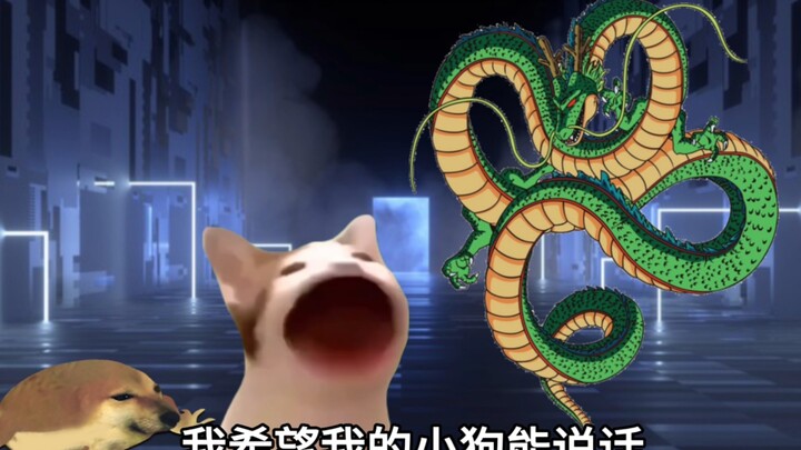 What bad intentions could a little dog have?