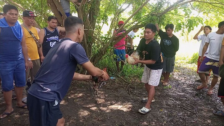 Patay manok nya sya nag karyo😅