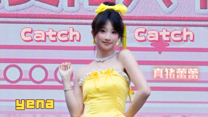 เต้นคัฟเวอร์เพลง catchcatch เวอร์ชันเค้กสีเหลือง
