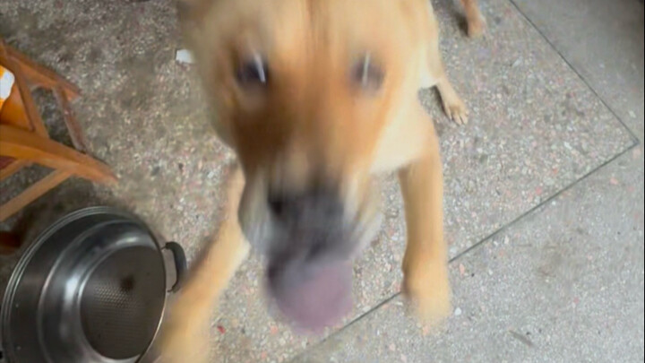 أُقدِّمُ سيفَ يولونغ لأموتَ من أجلك.