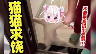 Cats will also be scared if they are kicked out of the house! ! !