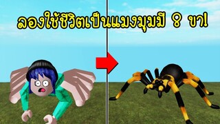 ลองใช้ชีวิตเป็น..แมงมุมมี 8 ขา 1 วัน! | Roblox Spider Sim2