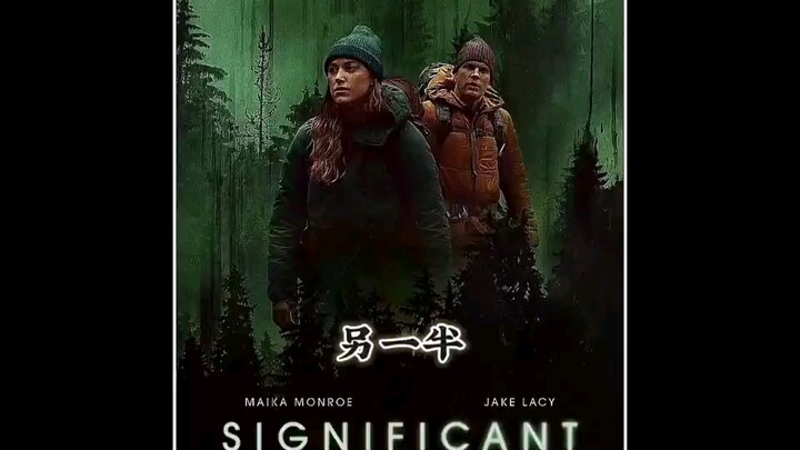 Pasangan lainnya