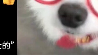 Kita harus berada di lingkaran yang sama tetapi mendorong hal yang berbeda!!