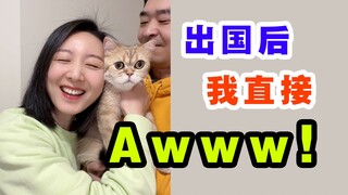 التغيرات التي شاهدتها في الحيوانات الأليفة اللطيفة قبل وبعد السفر إلى الخارج