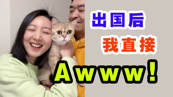 The Transformation of Cute Pets Before and After Going Abroad