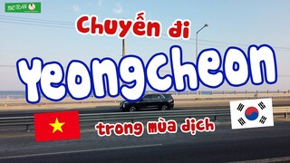 #6 Vlog: Chuyến đi Yeongcheon trong mùa dịch (Going to Yeongcheon during the Corona 19)