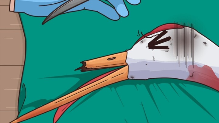 Even red-crowned cranes are getting in on the mechanical flight trend!