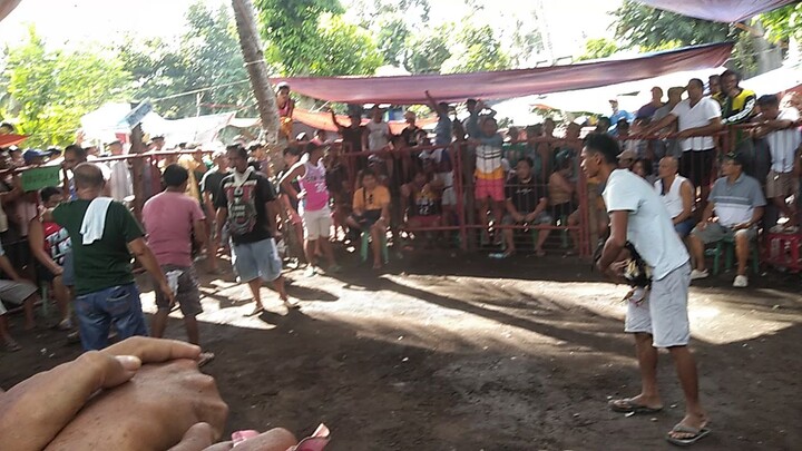 upload natin laban ng mga warriors!!