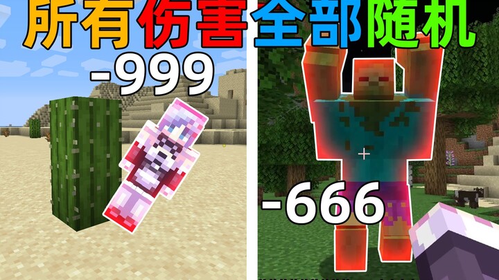 MC当你受到的伤害和造成的伤害全部随机！会发生什么呢？我的世界Minecraft