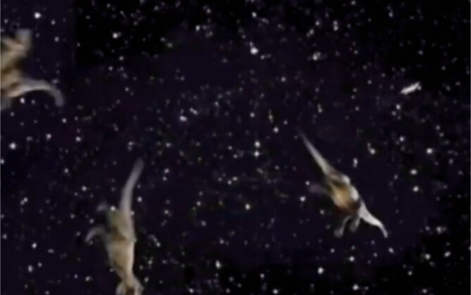 The Truth About Dinosaur Extinction in the Eyes of Flat-Earth Advocates!