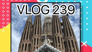 Spain is delicious and fun! Awesome!