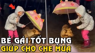 Cô Bé Còn Nhỏ Nhưng Lại Có Hành Động Thật Đẹp Với Chú Chó Xa Lạ  | Tám Tới Tấp