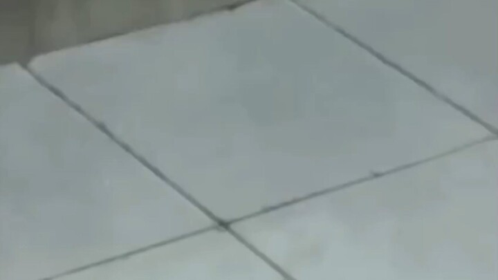 Spongebob Squarepants