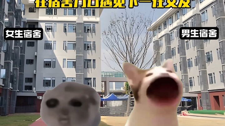 When I Met My Next Girlfriend at the Dorm Entrance After Getting Dumped by My Current Girlfriend