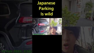 Japanese Parking Is Wild