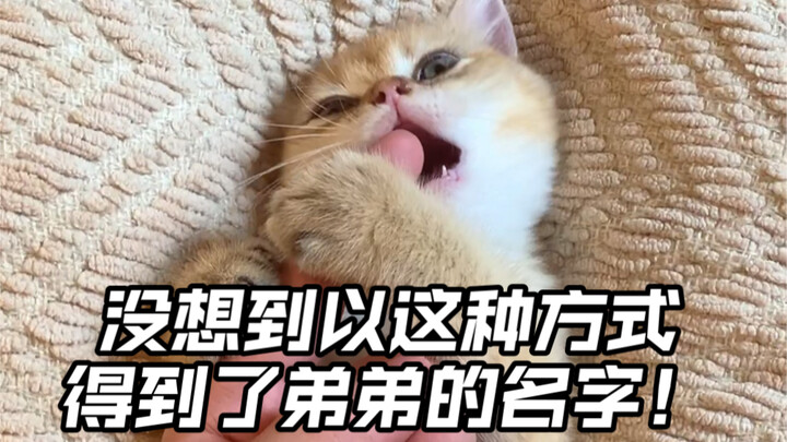 Who would’ve guessed the real story behind my little brother’s name is…?