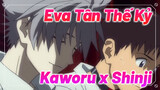 Gửi Cậu Người Tôi Yêu Nhưng Không Thể Có | Eva / AMV / Kaworu xShinji