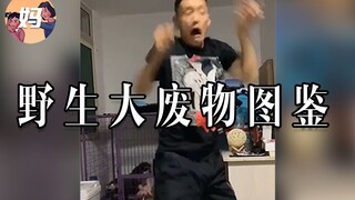 【野生人类图鉴】我不说，你能知道我是大废物？？