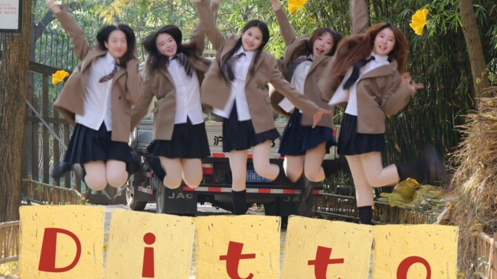 【Ditto】Ditto nhảy lại dưới tán cây bạch quả, bị các cô chú vây quanh xem!