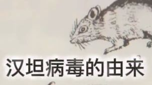 漢坦病毒名字的由來！ 漢坦病毒的歷史及其歐亞大陸型病毒！ #漢坦病毒 #早期病毒 #朝鮮出血熱 #李镐汪团队 #黑线姬鼠 #大陸型病毒