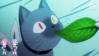 AMV:ngựa ô duyên tình