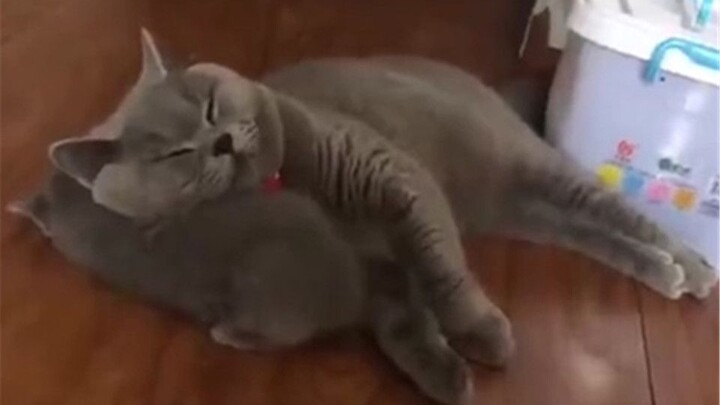 “Jika memiliki anak bukan untuk dijadikan bantal, maka itu tak ada artinya”