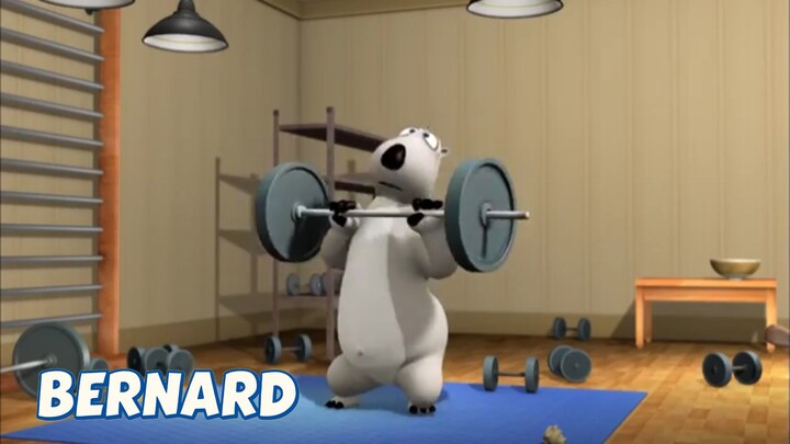BERNARD BEAR || WEIGHT LIFTING - CARTOON CHILDREN