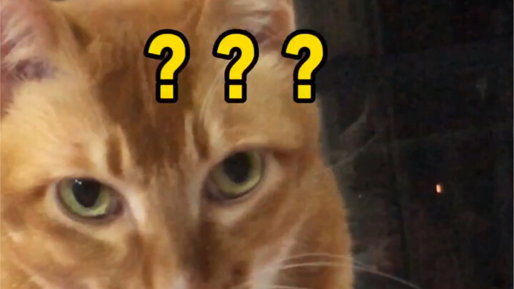 Yang kalian minta nggak bisa aku kasih (bukan…