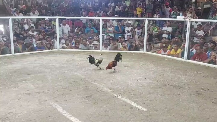 fastest kill