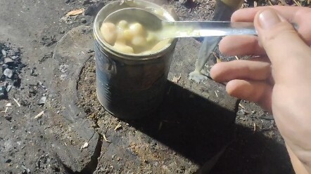 Kue pangsit isi ayam dalam kaleng, cukup bagus untuk memenuhi kebutuhan nutrisi di masa gurun pasca-