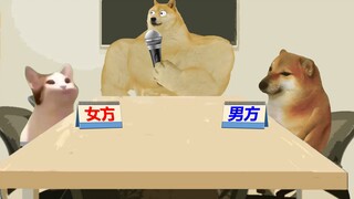 为什么男生在追女生的时候，天天有很多话要说