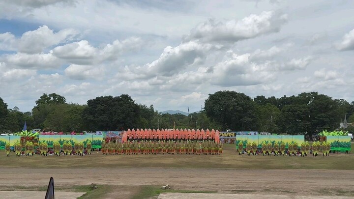 cnhs kalivungan