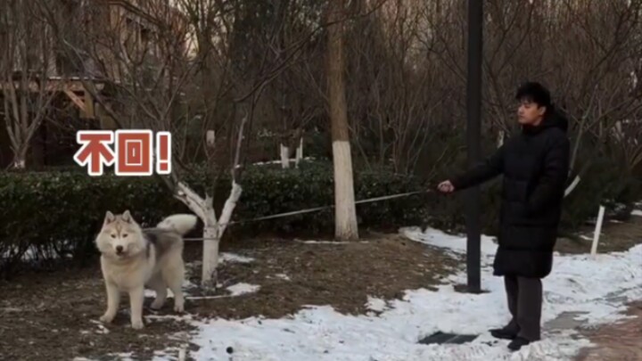 เมื่อเจ้าหมาดื้อเจอเจ้านายที่ดื้อกว่า นี่มันเกมระดับเทพชัดๆ!