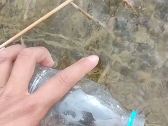 Let me see where the fish are. If you want to feel good, just pretend you’re a fisherman.
