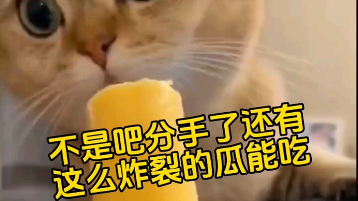 ใครเข้าใจบ้าง พวกคุณกำลังเลิกกันแต่ฉันแค่นั่งดูอยู่เฉยๆ