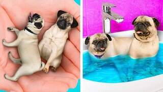 RUANG RAHASIA UNTUK ANJING || Renovasi Menakjubkan! 123 GO!