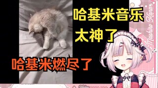 日本萝莉看《哈基米你…还是燃尽了吗》当场笑飞 直呼哈基米音乐太神了