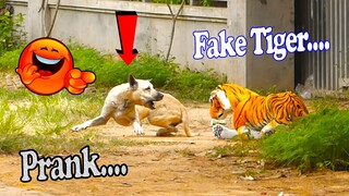 No Laugh😂 We pranked on dogs with STUFFED TOY TIGER - fake tiger dog prank Ep#06